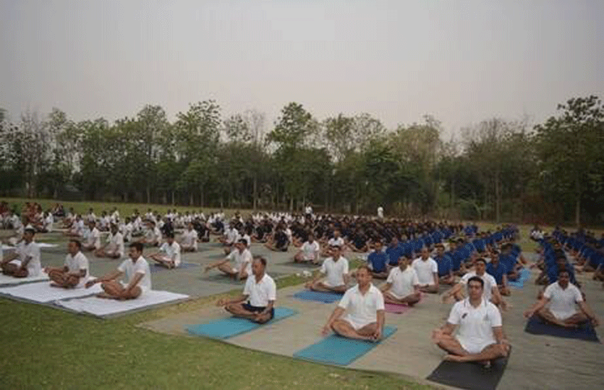 https://divyamudita.com/international-yog-day-in-mehsana/