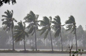 https://divyamudita.com/complete-information-about-cyclone-biparjoy/