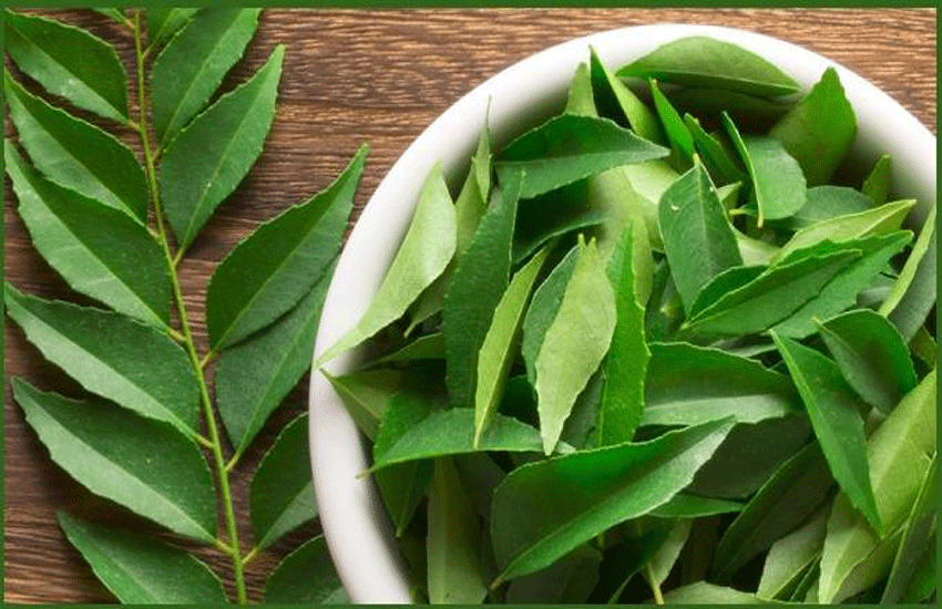 https://divyamudita.com/benefits-of-sweet-neem-leaves/